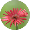 Juan B profile picture